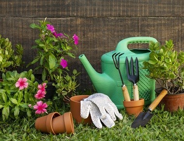 Najlepszy sposób na podlewanie roślin (ogrodowych)