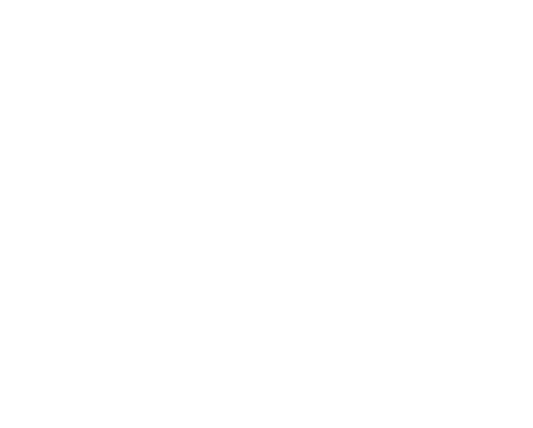 DACH ROKU 2024